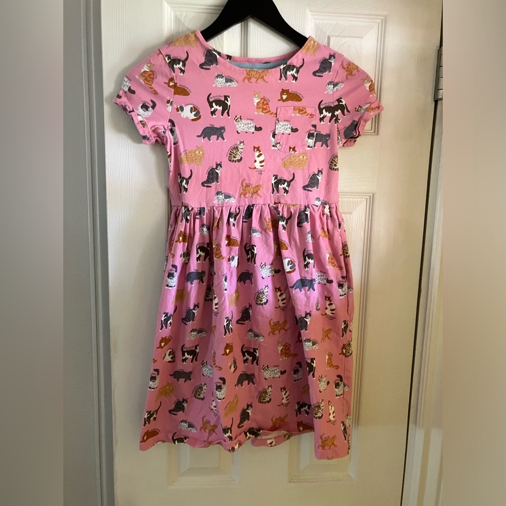 Mini Boden Pink Cat breed dress with pockets